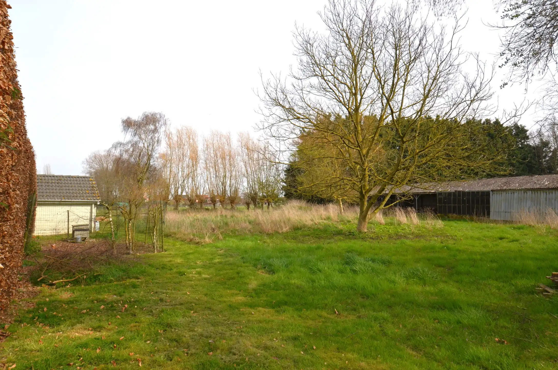 Magazijn met bijhorende weiland foto 4