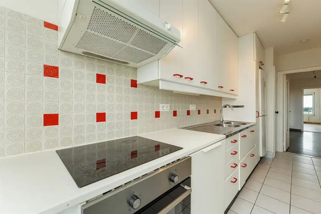 Appartement met zicht over Antwerpen foto 5