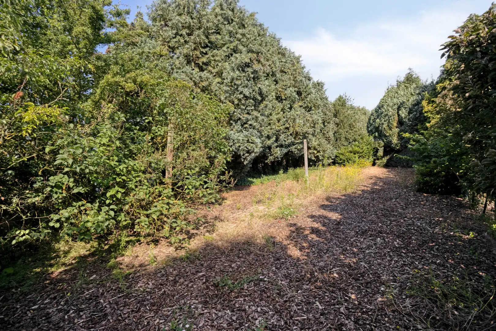 Landelijk gelegen open bebouwing op 11,7 are grond foto 18