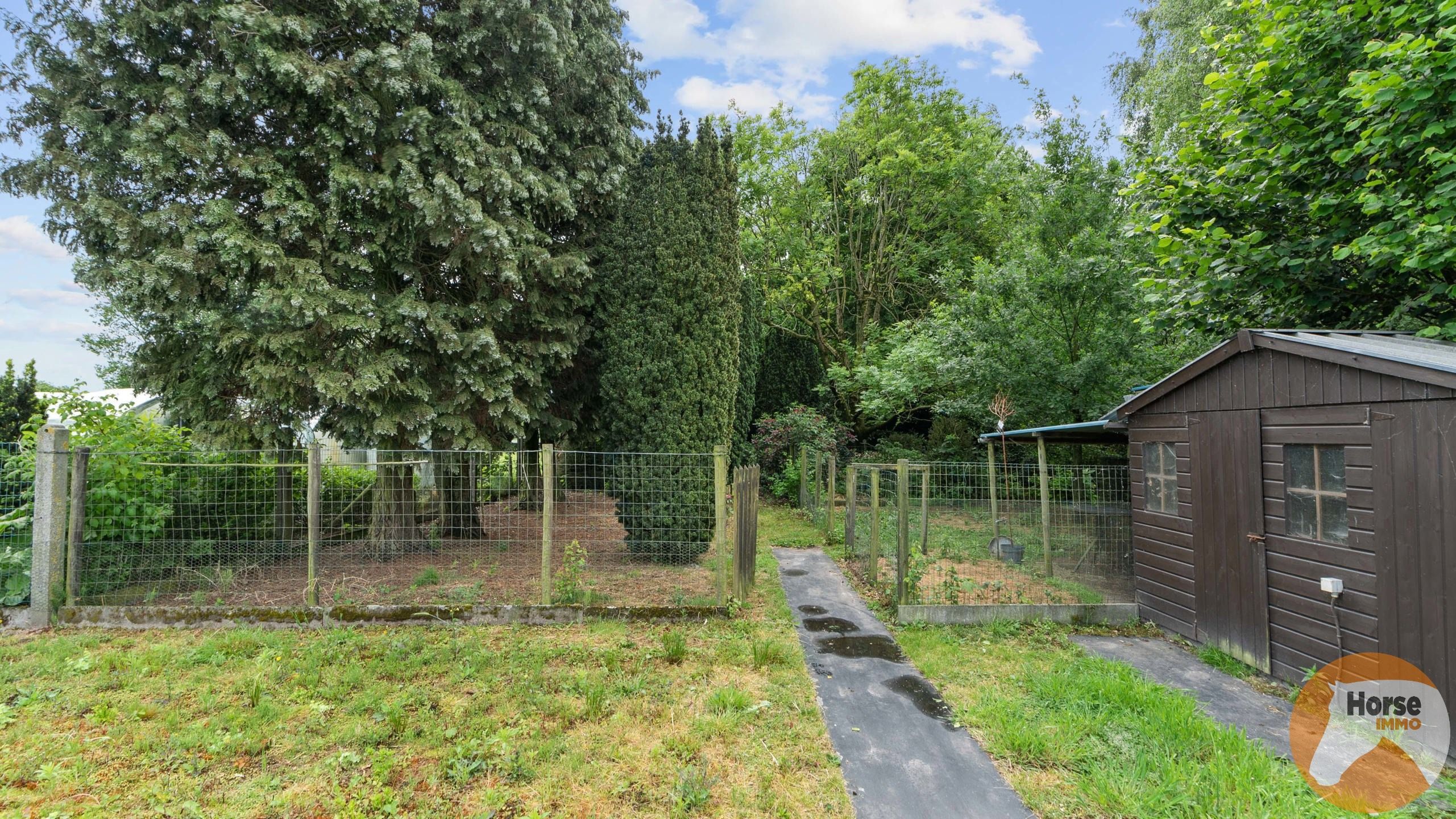 EKSAARDE - Te renoveren woning met oppervlakte bijna 4000m² foto 4