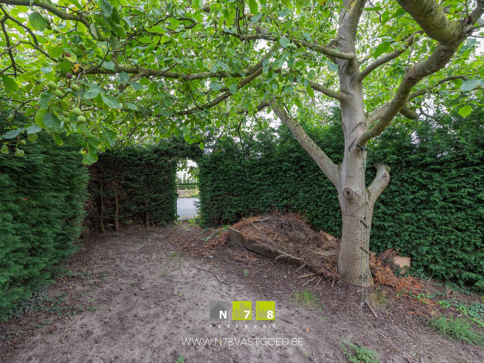 Huis te koop foto 25