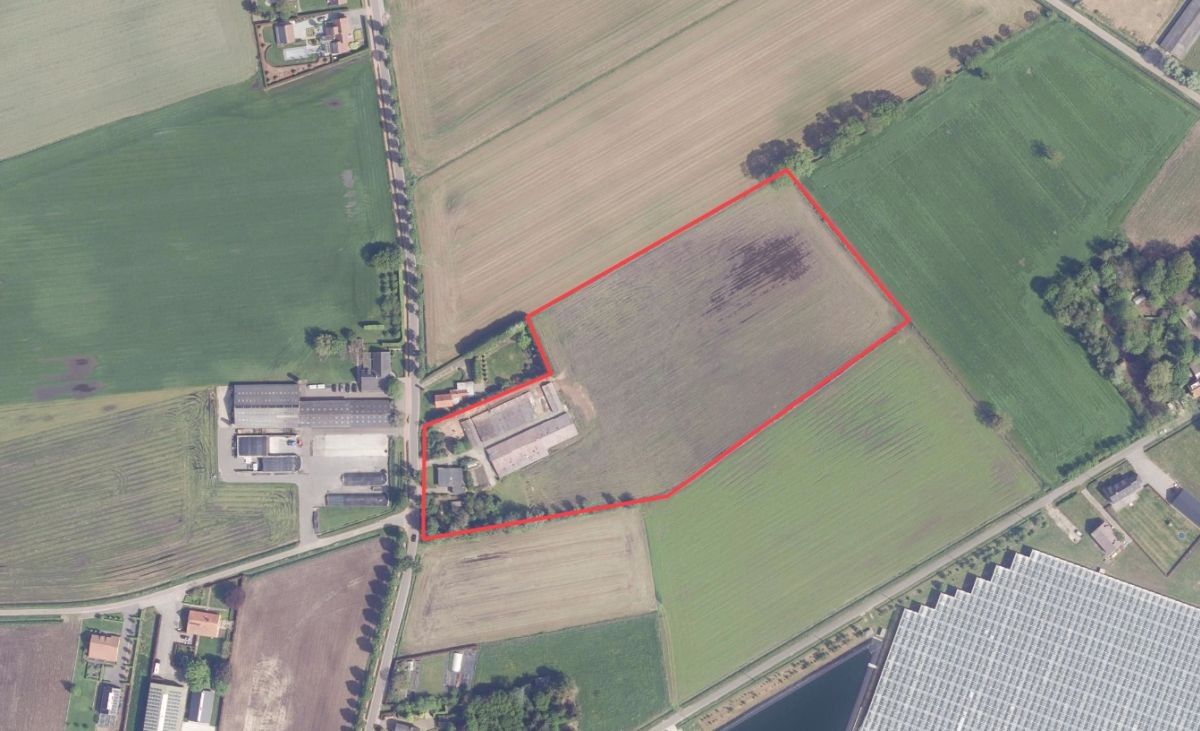 Hoeve met stallen en landbouwgrond te koop te Weelde foto {{pictureIndex}}