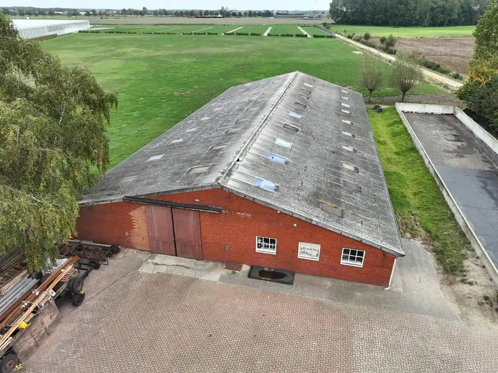 Stalgebouw te Loenhout foto 5