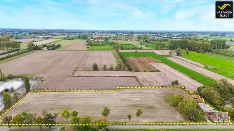 Te koop: Hoeve op 15.514 m² grond met potentieel – Moerstraat 14, Eeklo (nabij Sint-Laureins) foto 2