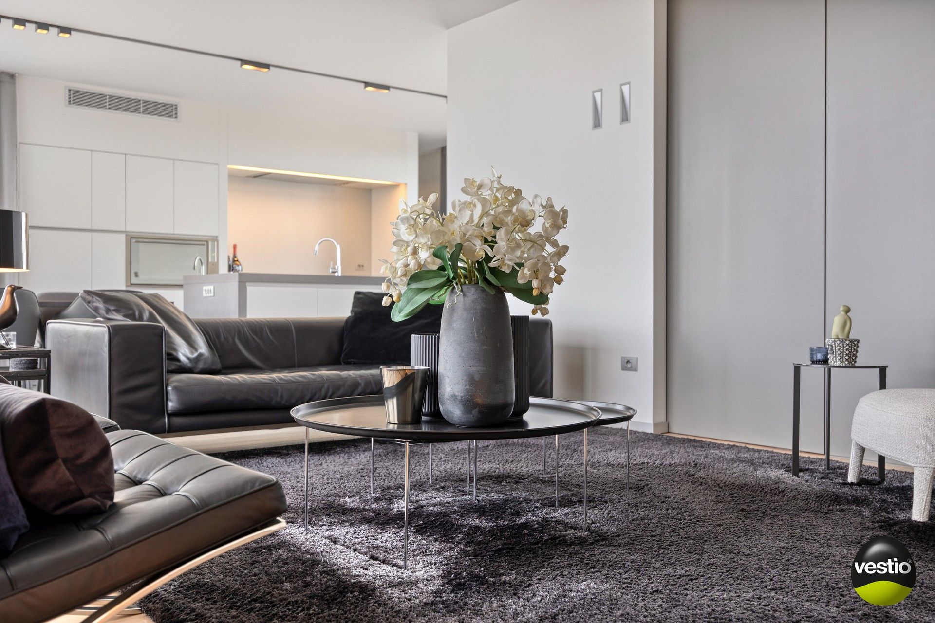 EXCLUSIEF PENTHOUSE OP 2 MIN VAN BILZEN CENTRUM foto 14