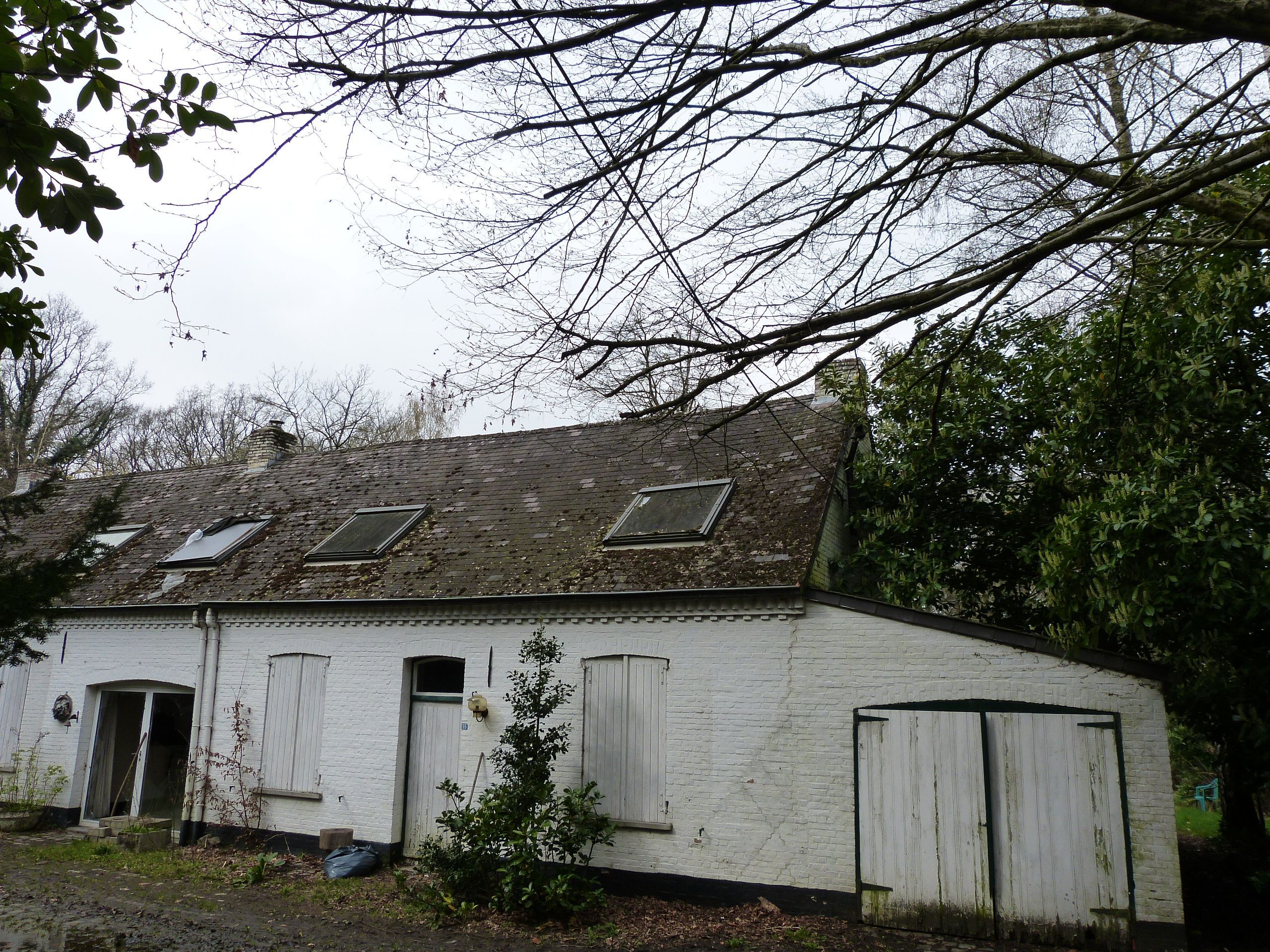 Langgevel hoeve Te Koop foto 3