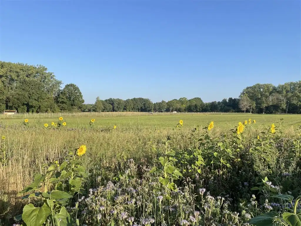 Unieke bouwgrond op een prachtige locatie!  foto 8