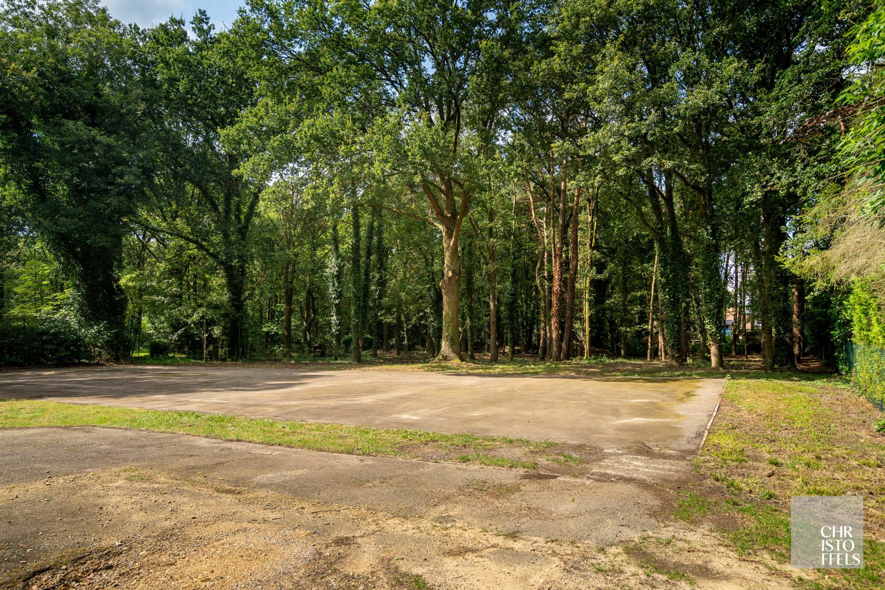 Deels gerenoveerde laagbouwvilla, residentieel gelegen in de bossen op een uitgestrekt perceel van 3.981m² foto 12
