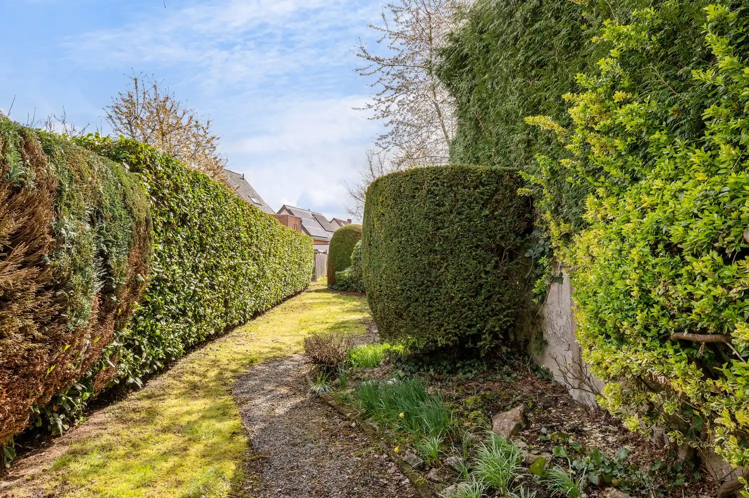 Charmante gezinswoning met grote tuin en eindeloze mogelijkheden! foto 11