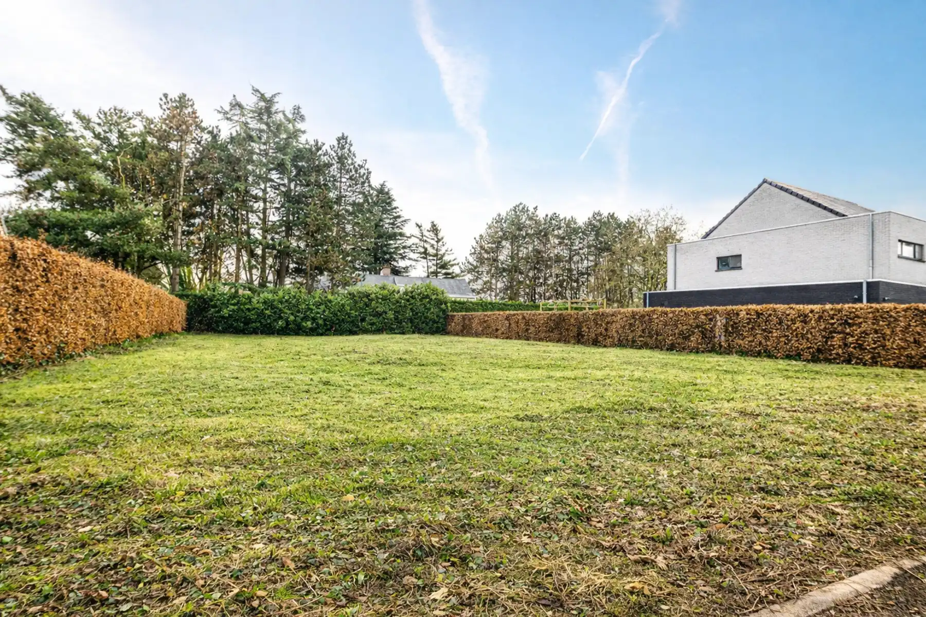 Bouwgrond voor open bebouwing op topligging te Rumst foto 6