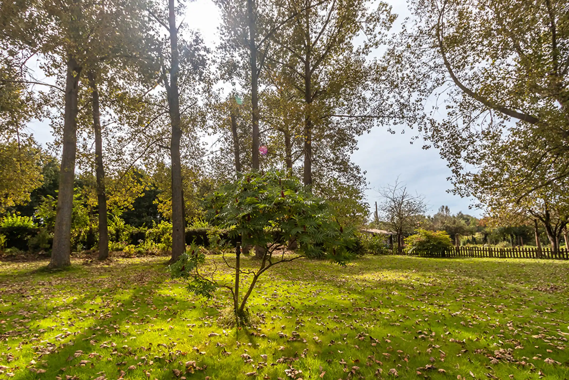 Gerestaureerde vierkantshoeve met B&B op 80 are grond foto 3