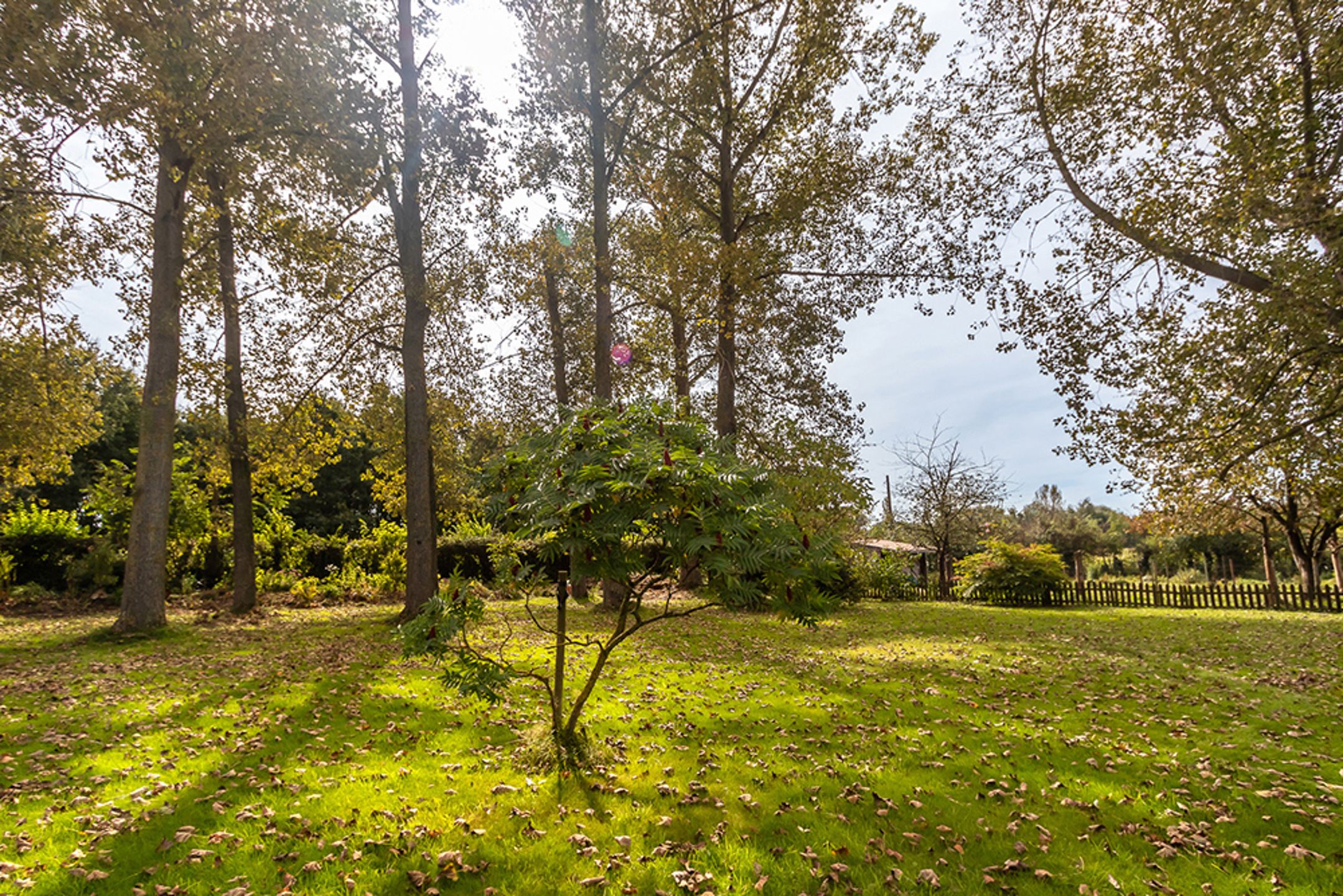 Gerestaureerde vierkantshoeve met B&B op 80 are grond foto 3