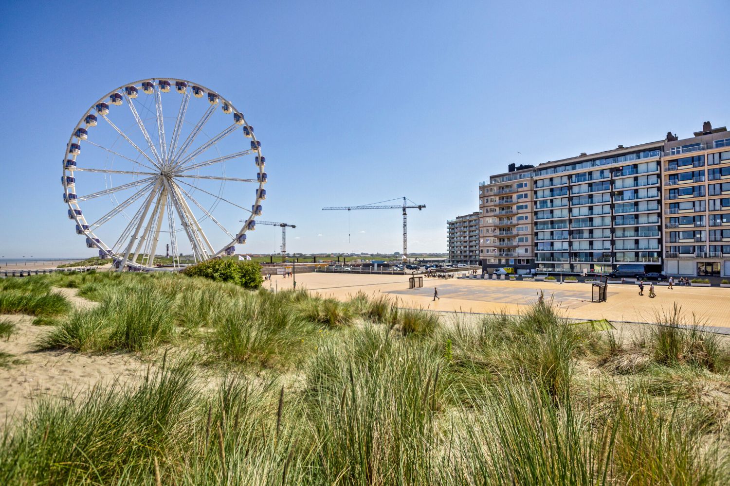 Zeer goed onderhouden studio op de Zeedijk van Nieuwpoort-Bad foto 12