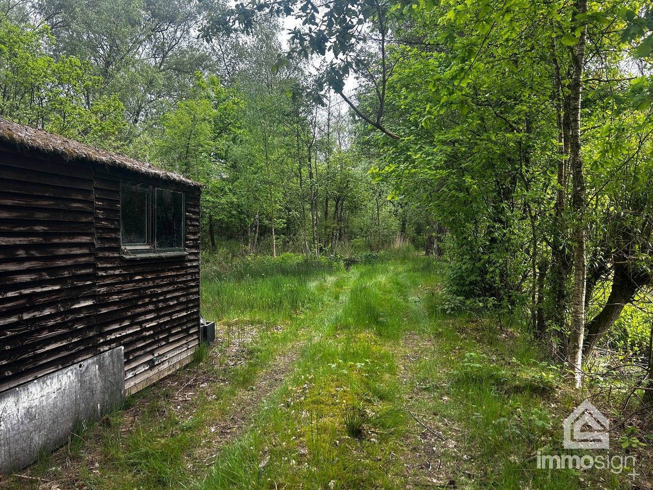 Uniek stukje natuurgebied van 1.470 m² gelegen te Hamont-Achel! foto 9
