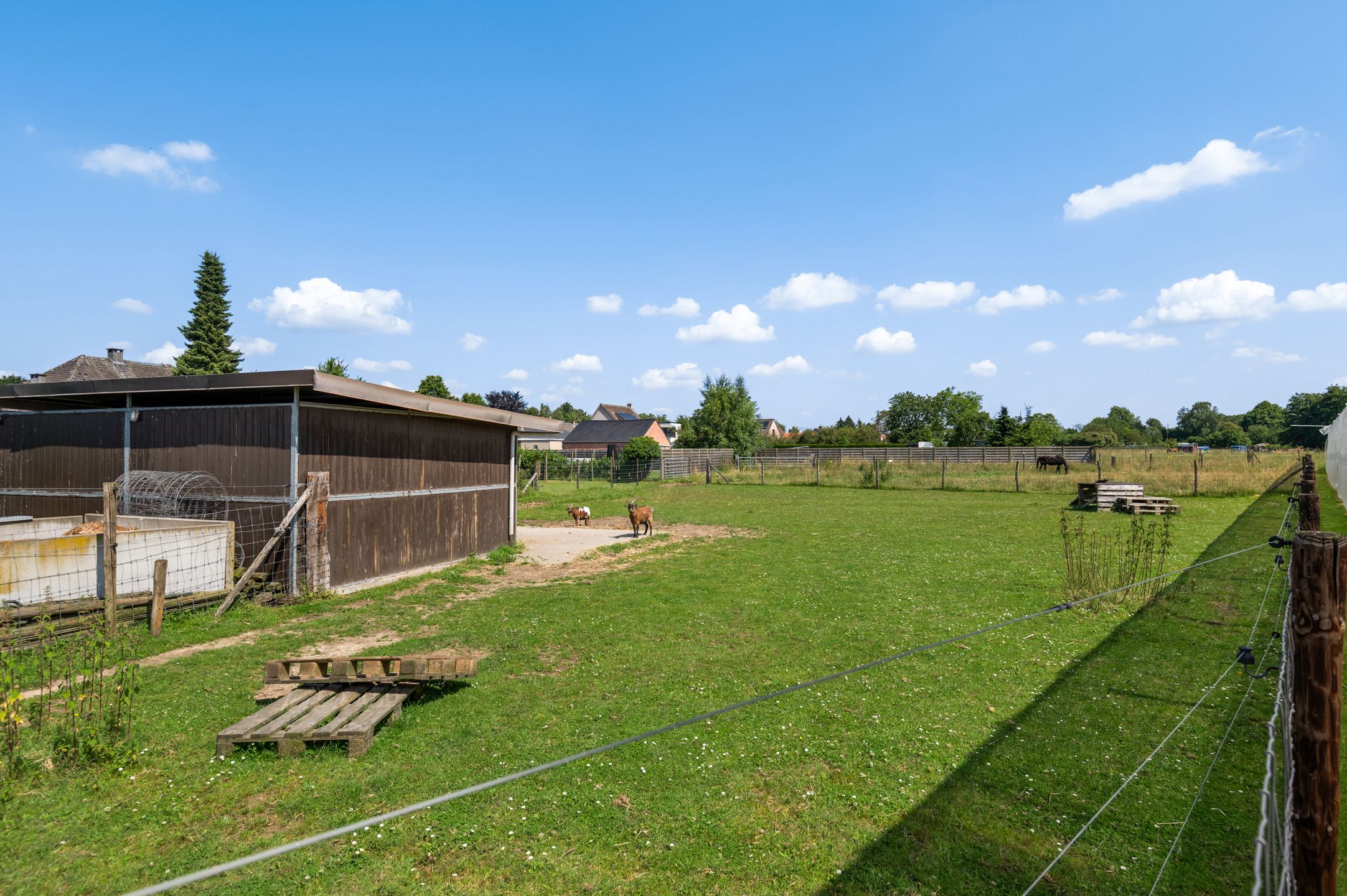 Prachtige villa op rustige locatie met achterliggend weiland. foto 11