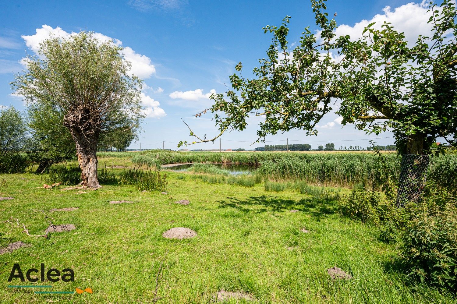 Unieke hoeve aan de Molenkreek in Sint-Margriete met vakantiewoningen en schuur foto 12