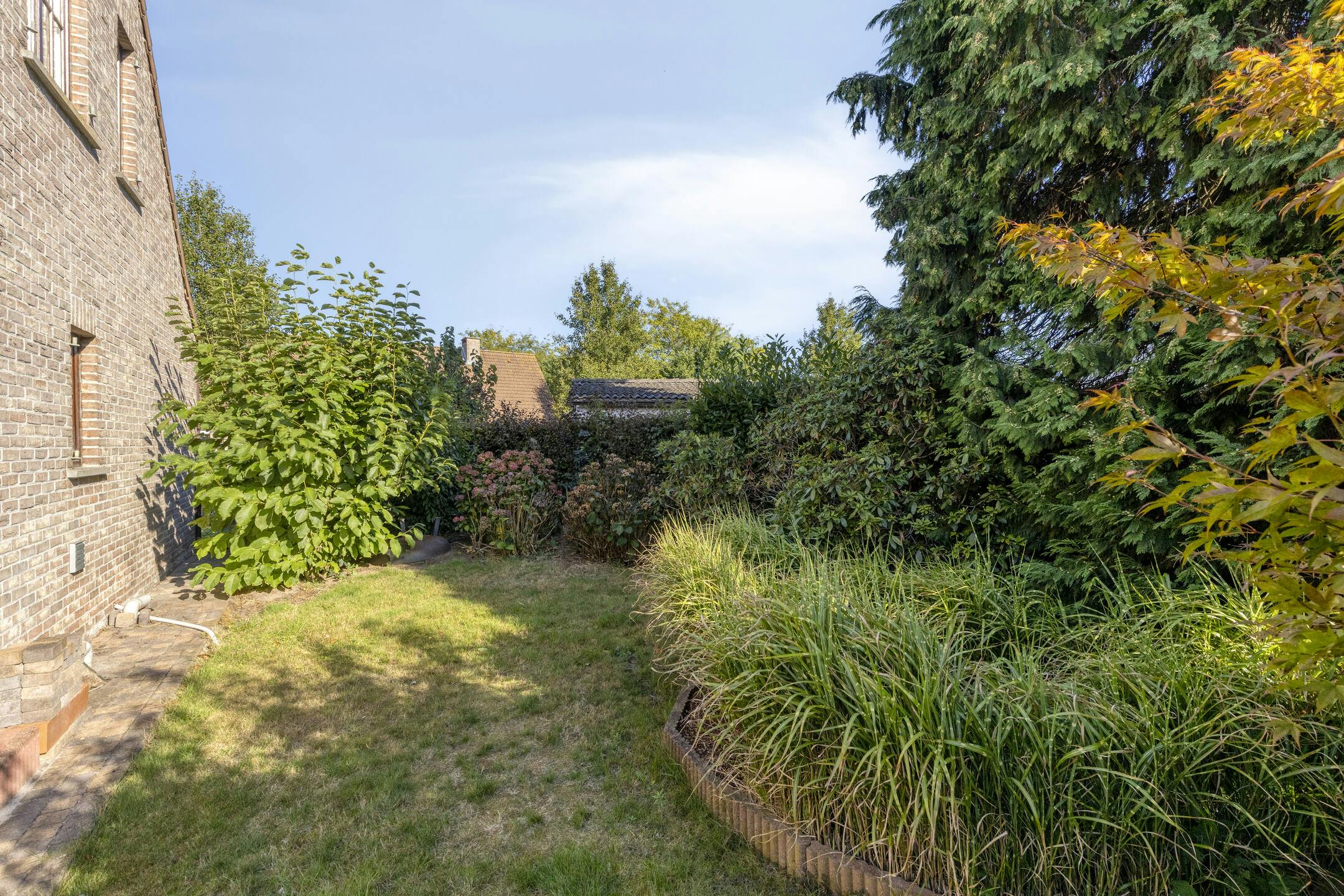 Vrijstaande woning met groot bijgebouw te koop in Wuustwezel foto 58