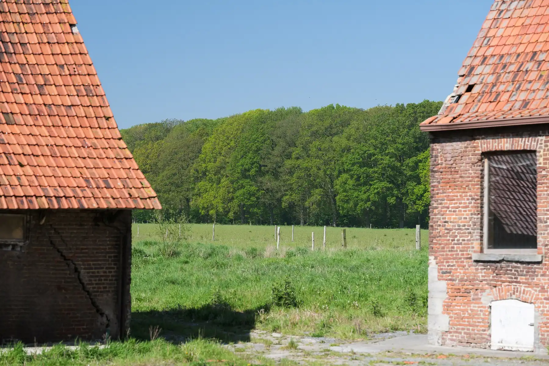 Een hectare groen, klaar voor jouw toekomst (zonevreemd!) foto 4