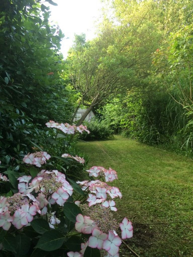 immo DAVID stelt voor: ruime gerenoveerde 2-gevelwoning foto 14