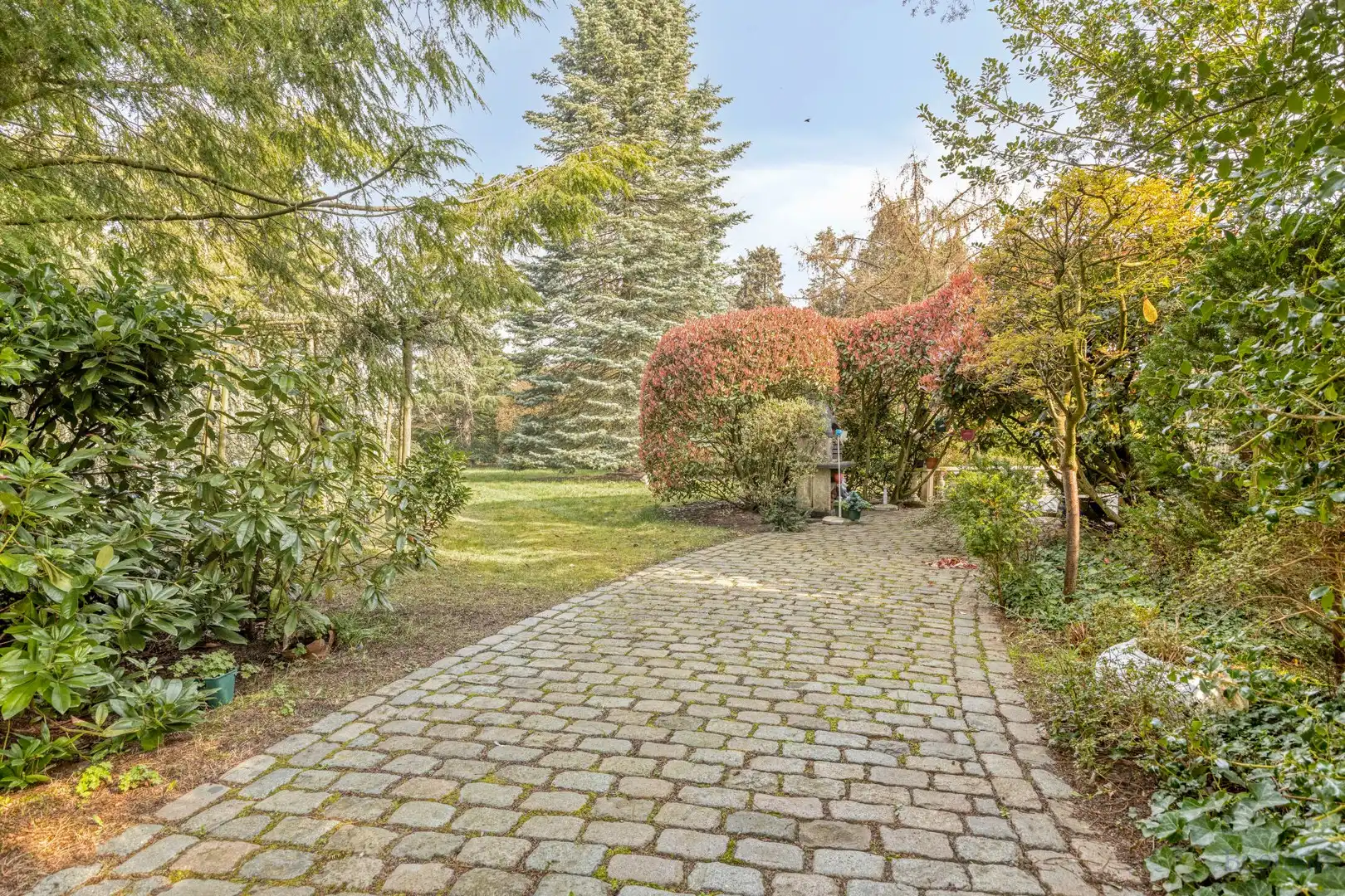 Projectgrond met woning te koop in Schoot, Tessenderlo foto 9