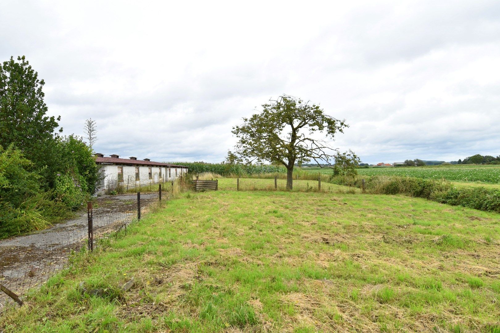 Hoeve op 11.106 m² te koop in het landelijke Spiere-Helkijn foto 3