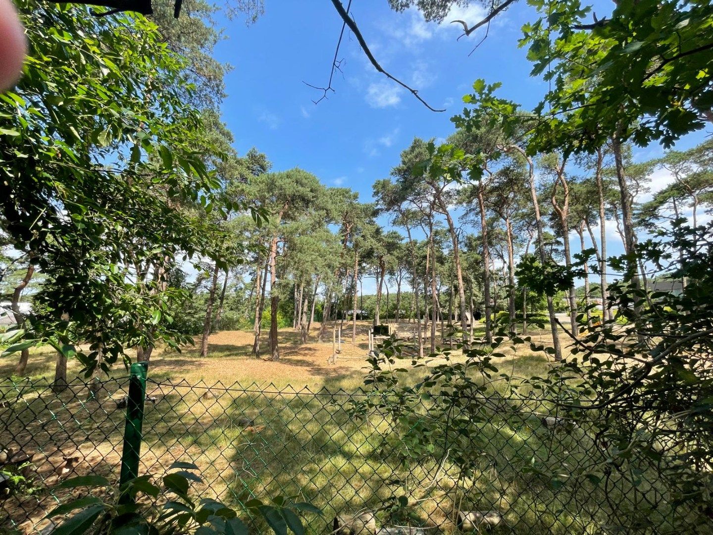 Wezelbaan 61 2490 Balen foto 13