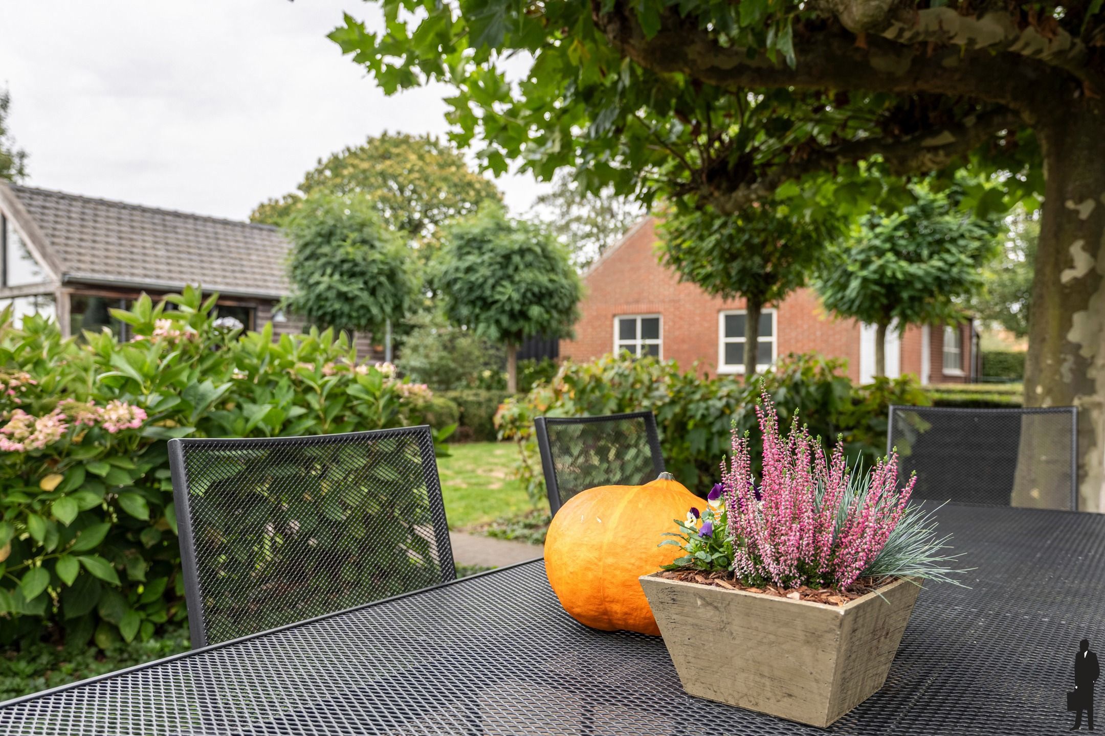 Landelijke woning met 3 slpk. en vrij uitzicht op een perceel van ca. 3.400 m² foto 20
