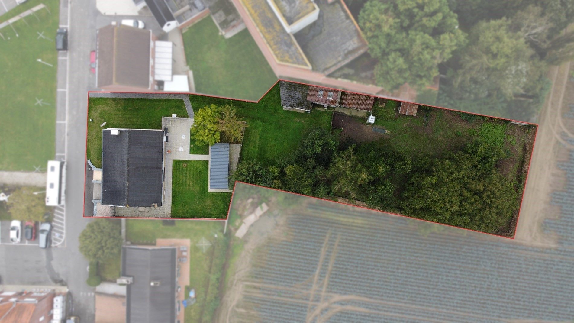 Vrijstaande woning met 4 slaapkamer op ruim perceel te Klerken  foto 2