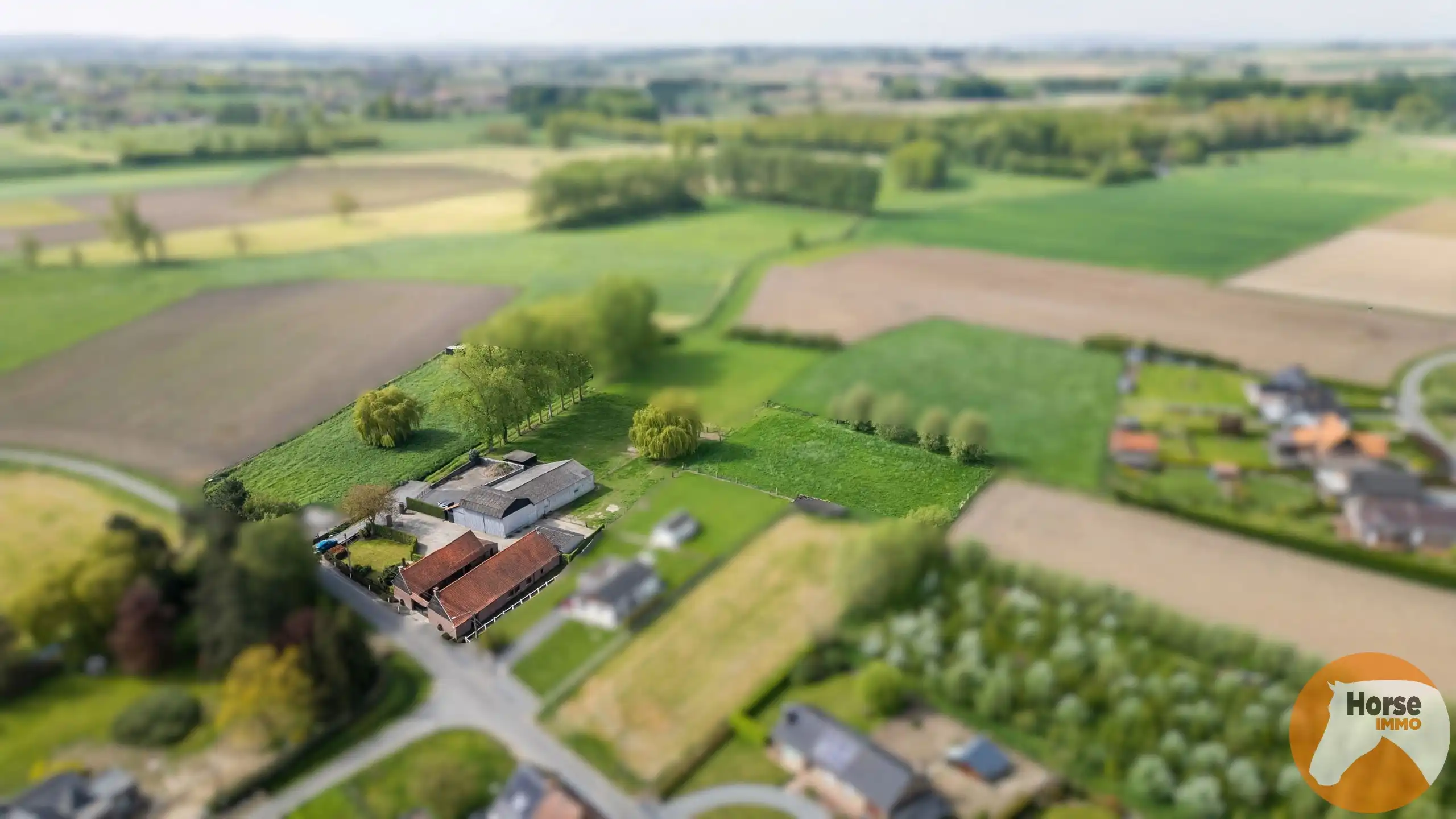 RONSE - Charmante hoeve op 1,16 ha met bijgebouw foto 2