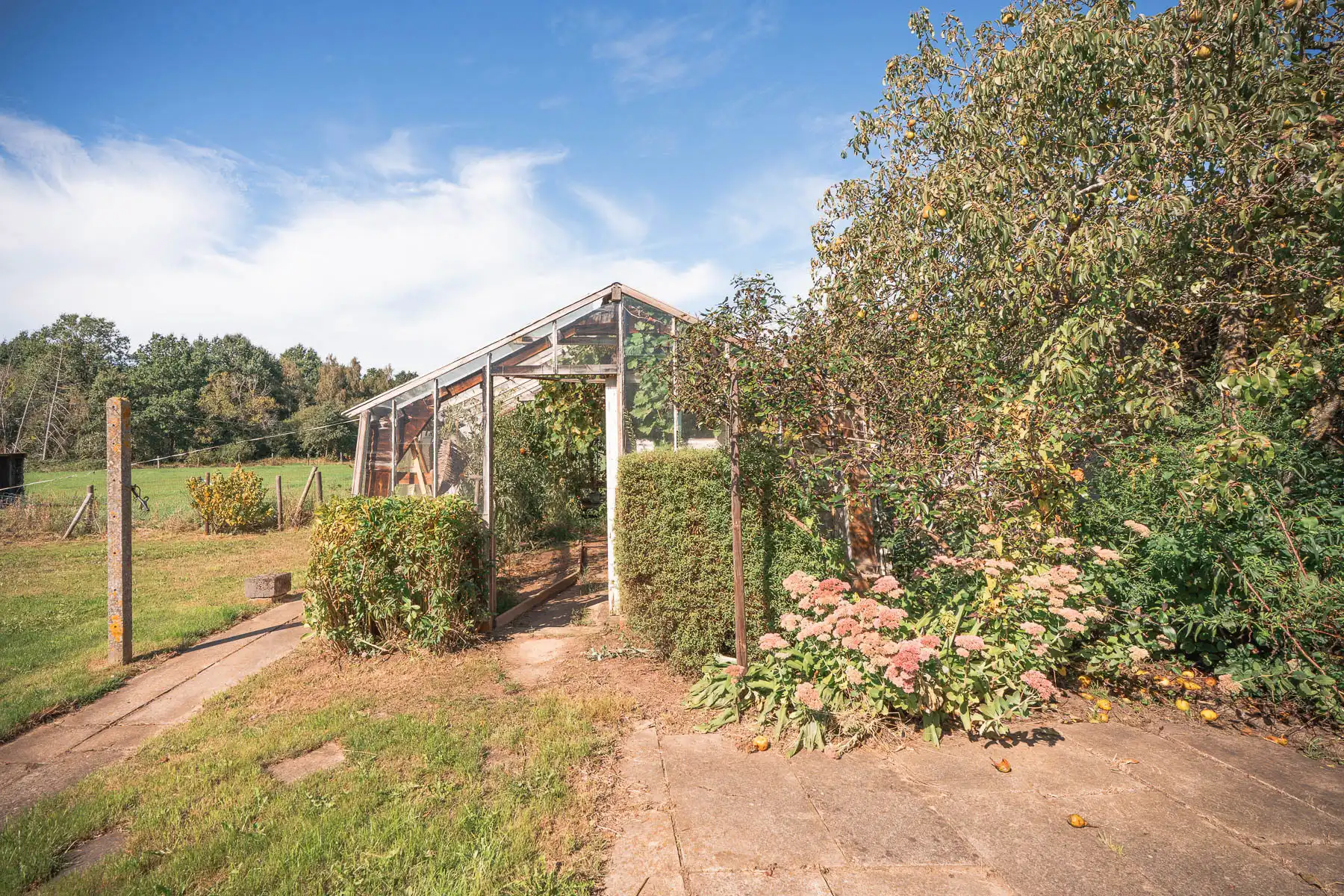 Idyllische hoeve op 1hA grond vol potentieel foto 43