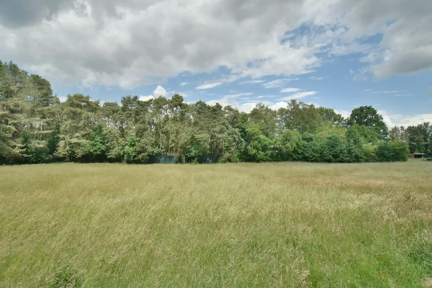 Mooie bouwgrond van 891 m² geschikt voor open bebouwing, met achterliggende huisweide van 4.261 m², residentieel gelegen te Neerharen. foto 3