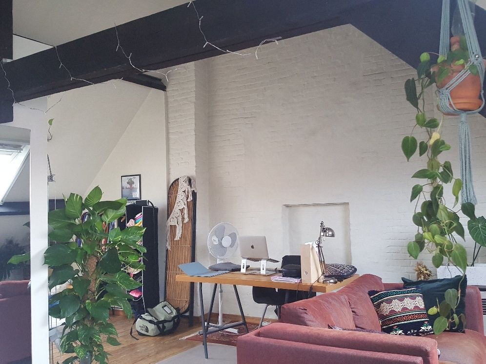 te huur: ruime lichtrijke studio 1 persoon voetgangerszone Gent Hoogpoort foto 6