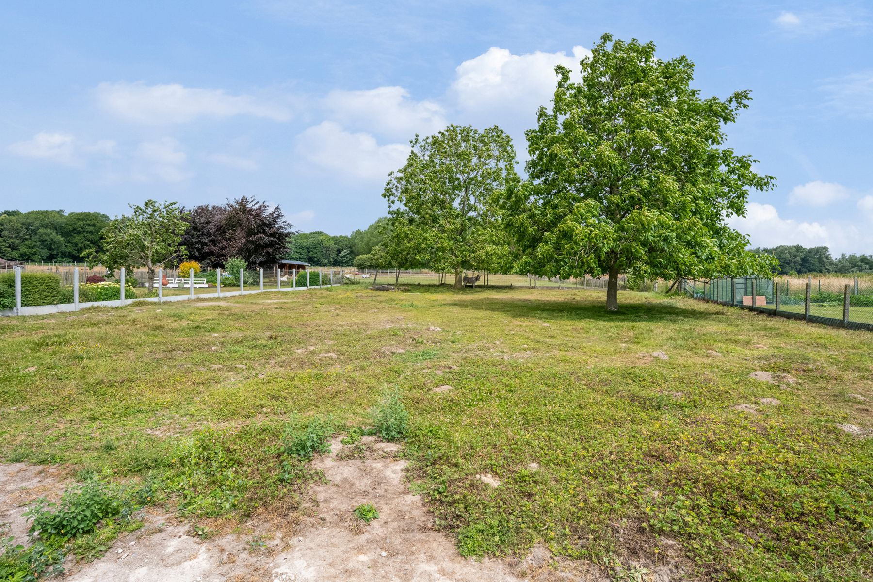 Rustig gelegen bungalow met bijhorende weide, stal en garage foto 25