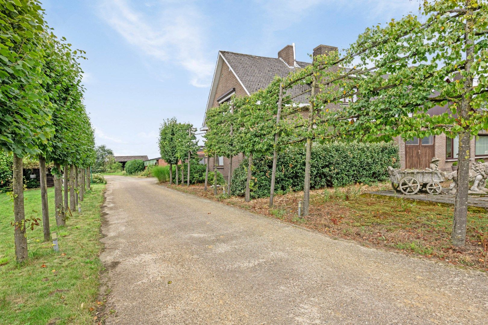 Woning met ruim (+/- 1.250 m²) bijgebouw (stallen & binnenpiste) op 9.181 m² (extra grond optioneel) ! foto 21