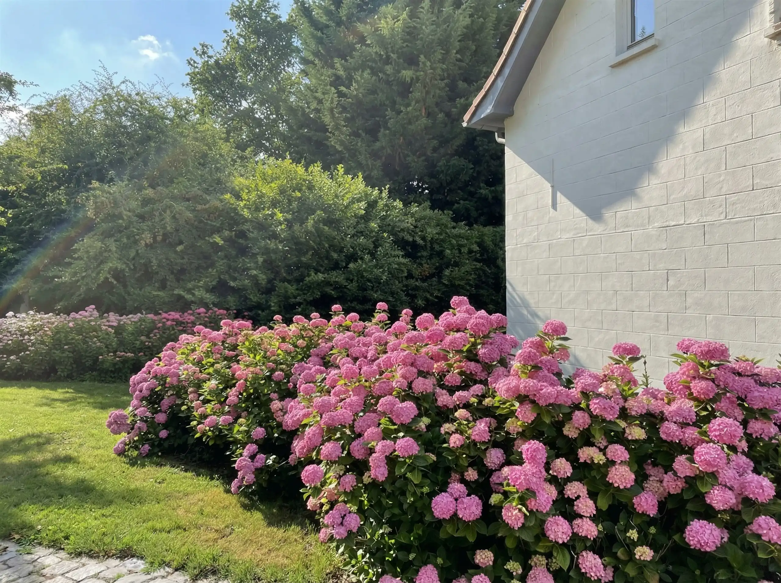 We konden niet langer zwijgen...Coming soon op 8.069 m² foto 4