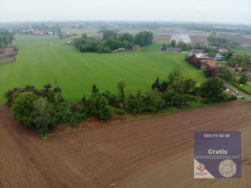 Landelijk gelegen woning op perceel van maar liefst 5460m² groot foto 47