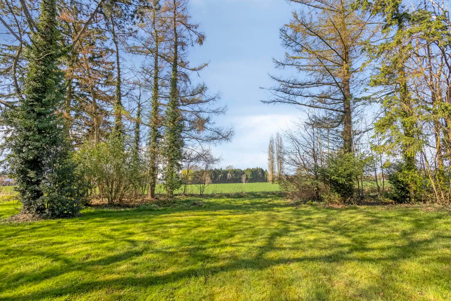 VILLA MET KOETSHUIS EN LANDGOED IN TIENEN foto 24