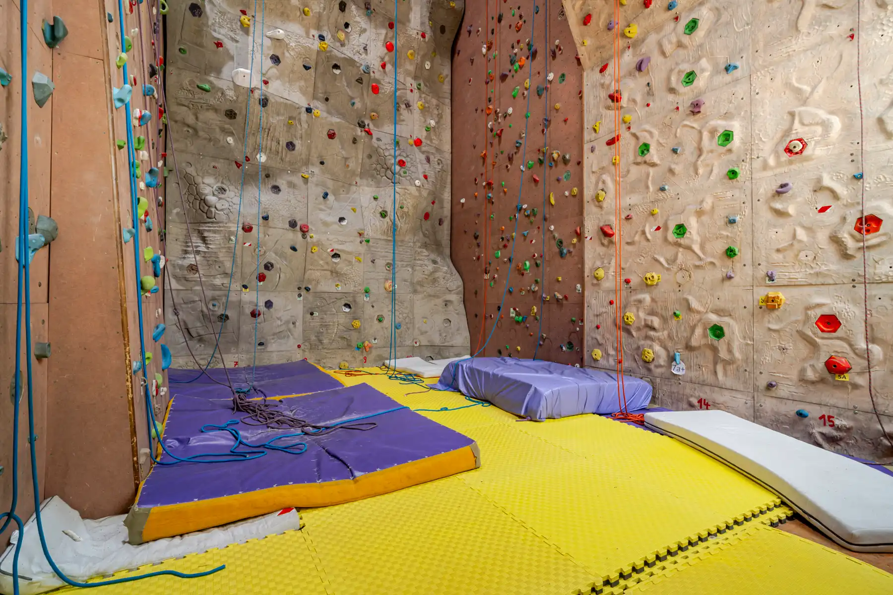 Commercieel te koop foto 18