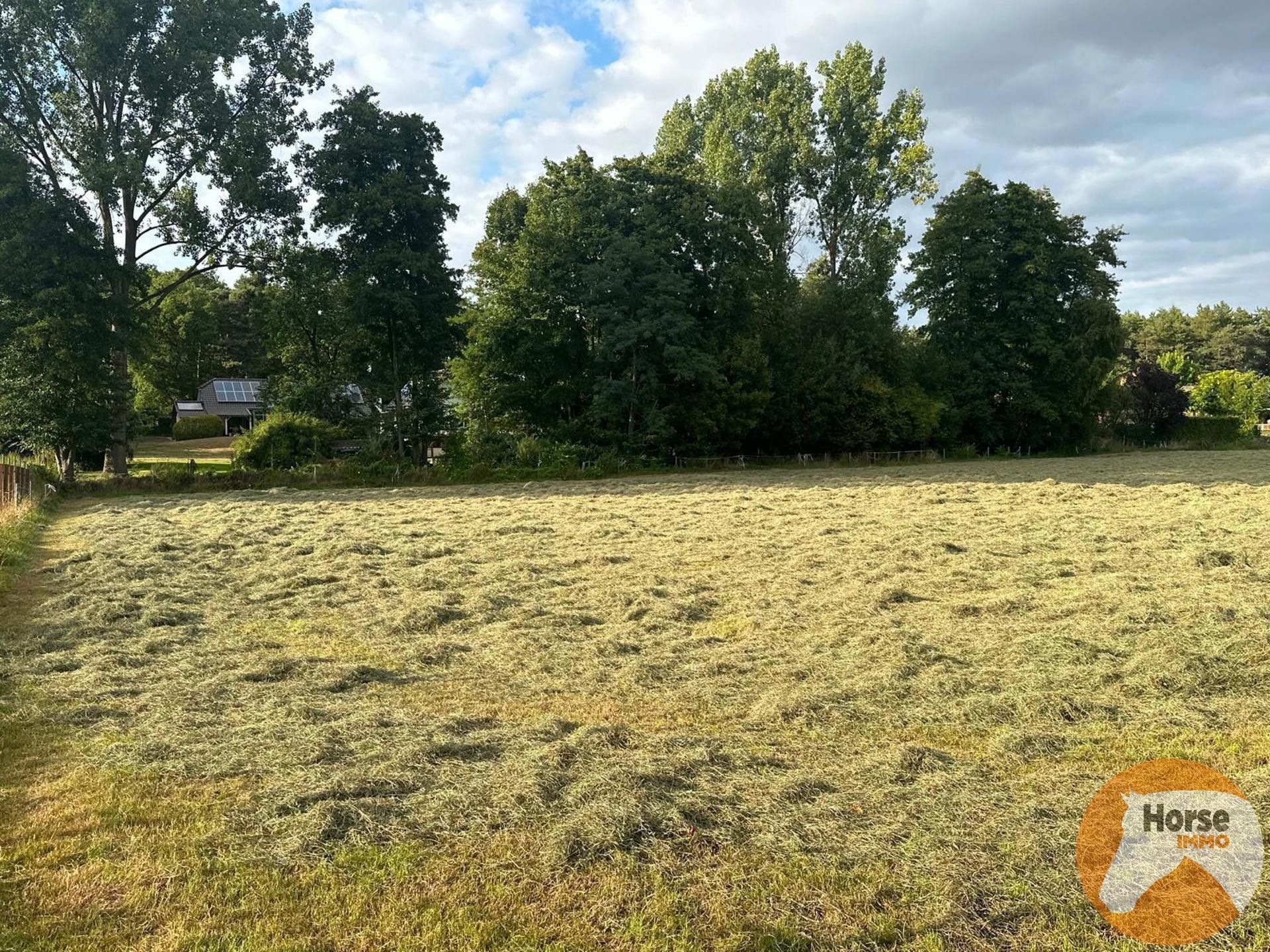 HELCHTEREN - Rustig gelegen cottage op 1ha24 foto 19