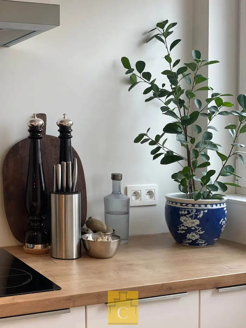 Stijlvol dakappartement met panoramisch uitzicht foto 8