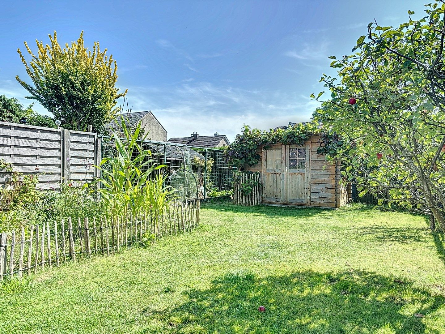 Instapklare rijwoning met 4 slaapkamers en een zonnige tuin. foto 8