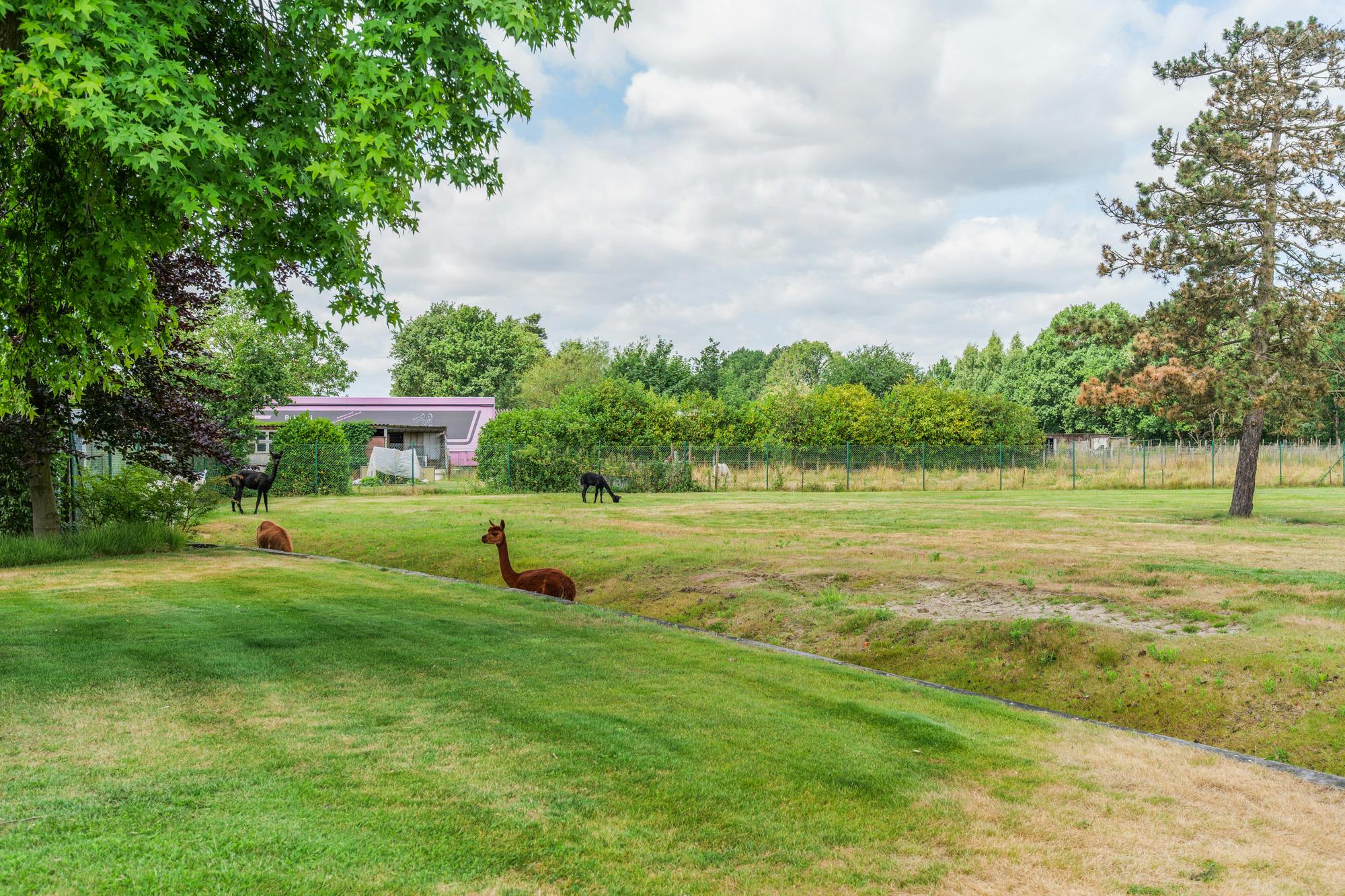 Villa met praktijkruimte en weilanden te koop in Geel foto 40