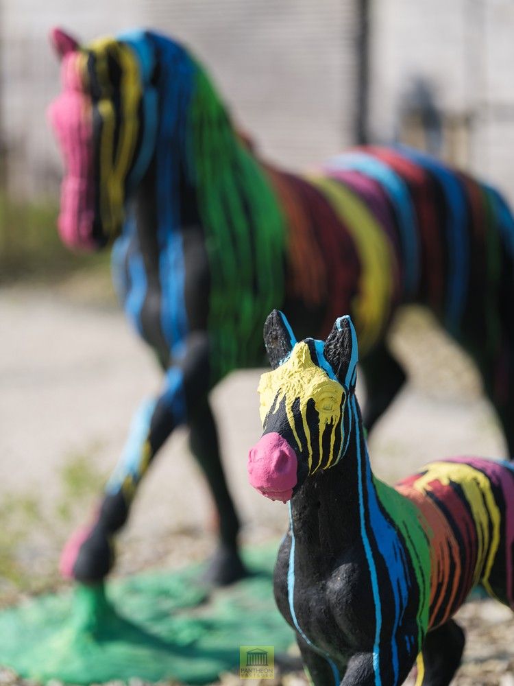 Uitzonderlijk pand - manege met gastenverblijf foto 39