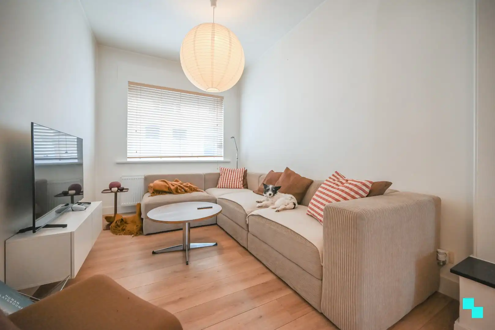 Charmante woning met gezellige stadstuin in het hartje van Izegem foto 7