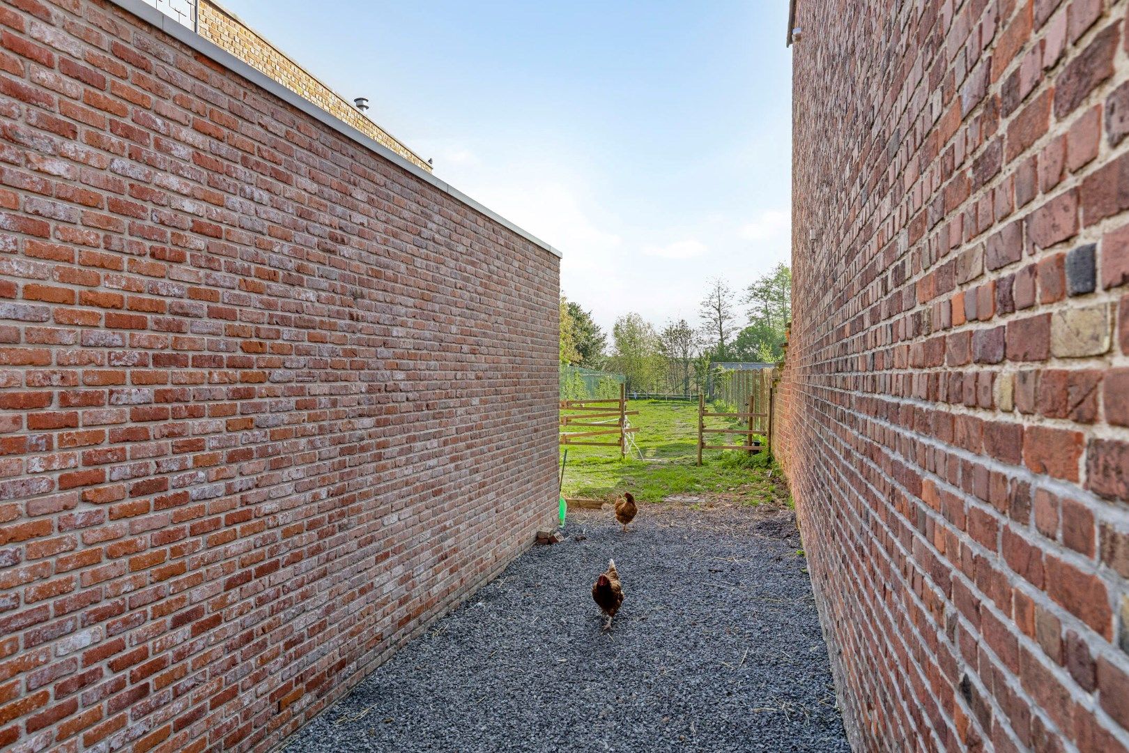 Mooi perceel van 454 m² met garage! foto 4
