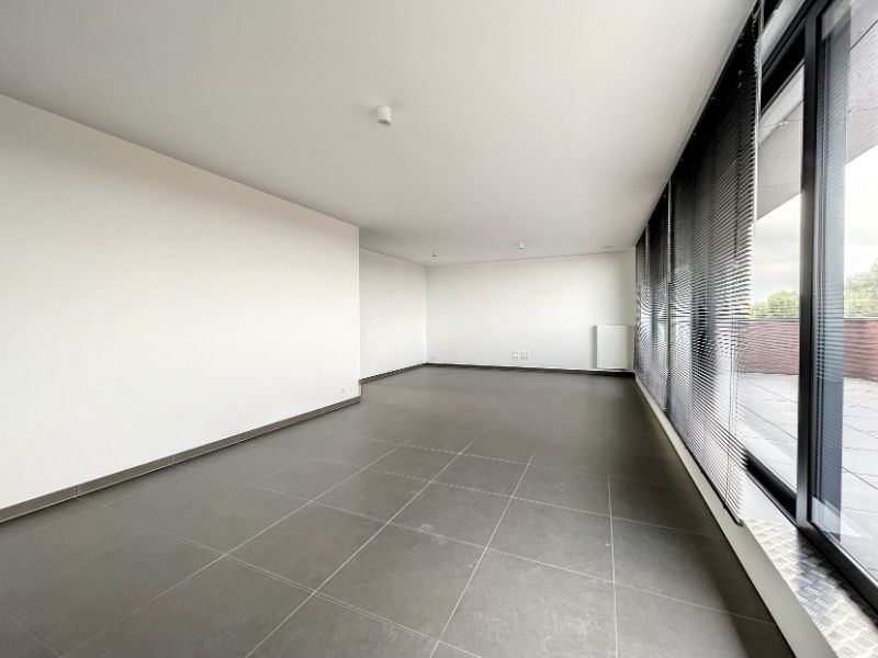 penthouse foto 3