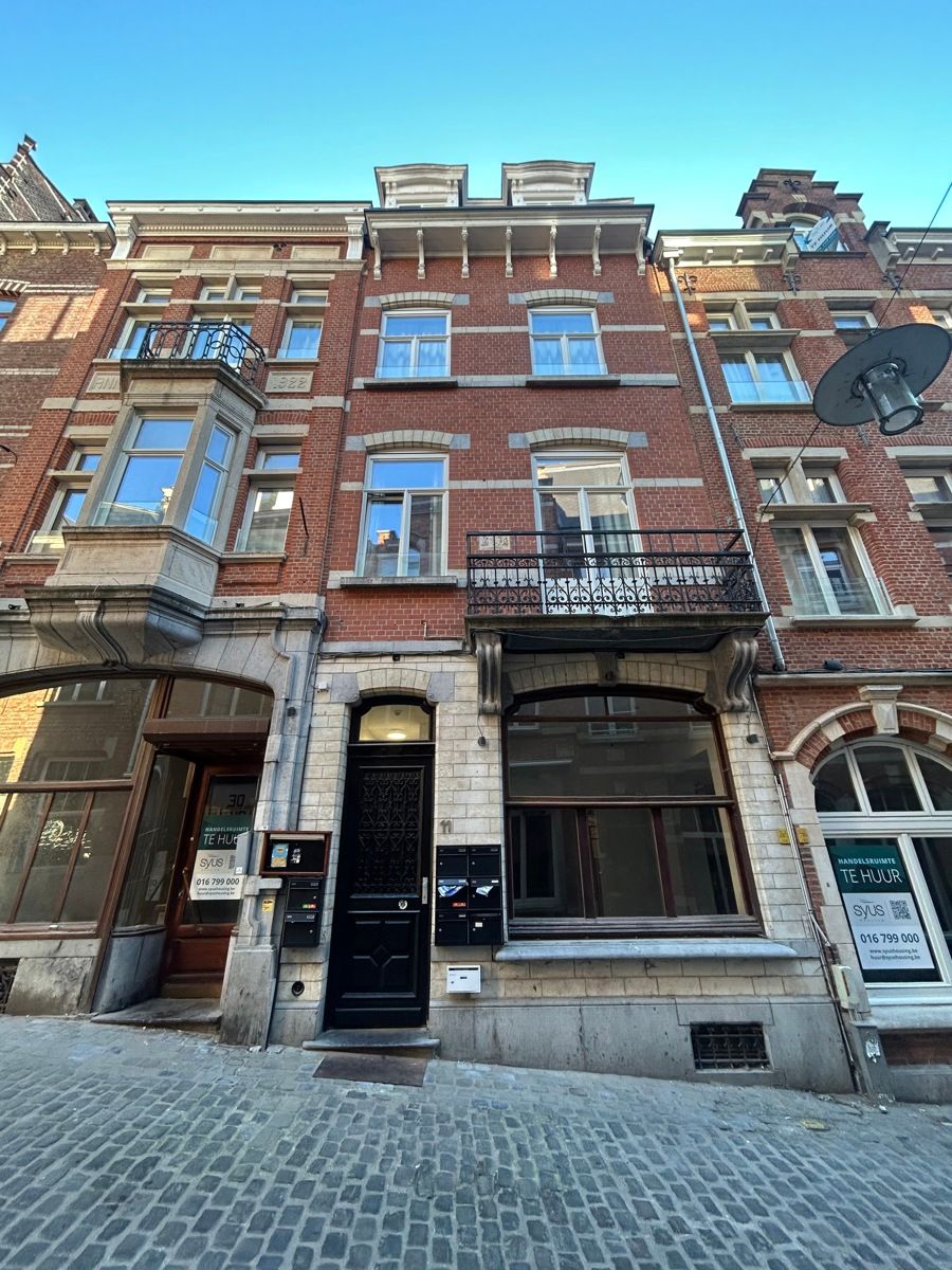 Ruime kamer privatief sanitair Leuven foto 10