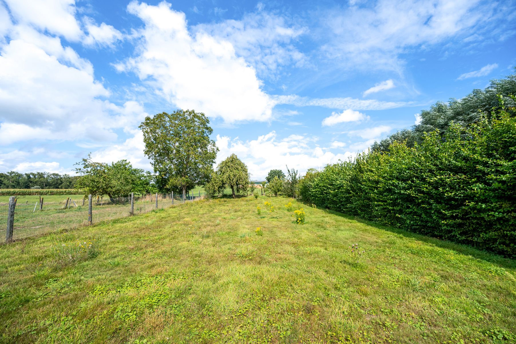 Ruime woning met atelier en garage op perceel van 32 are  foto 29