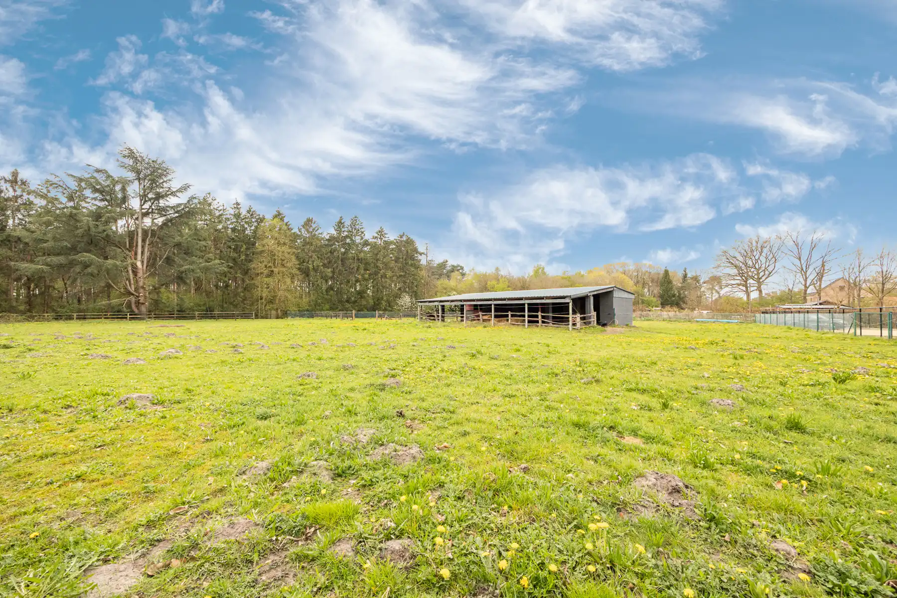 GELIJKVLOERSE WONING, IDAAL VOOR PAARDENLIEFHEBBERS foto 14