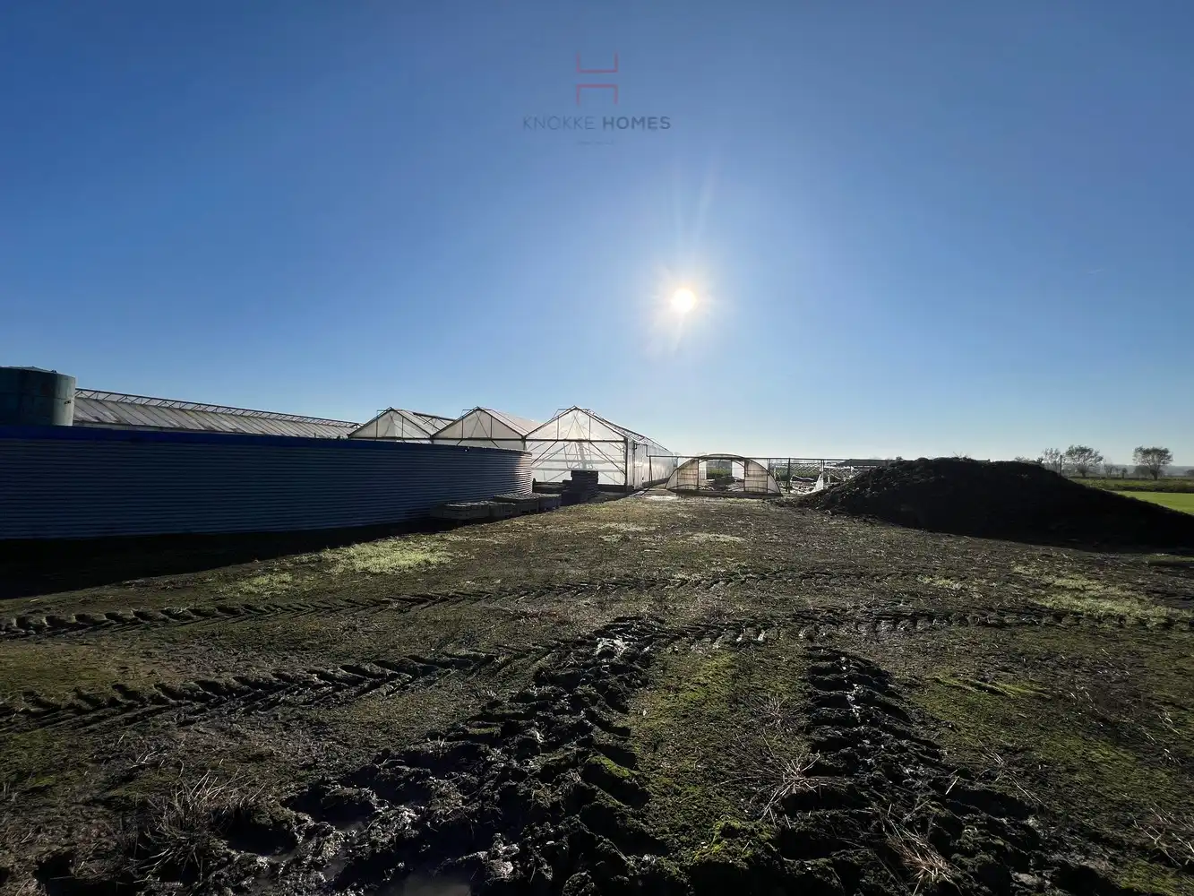 Ca.5.000 m2 serres met loods - bestemd voor agrarische doeleinden. foto 7